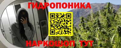 прущие крисы Заволжье